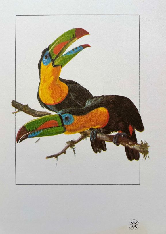 (*NEW ARRIVAL*) Varig Lines.Tucano-Toco