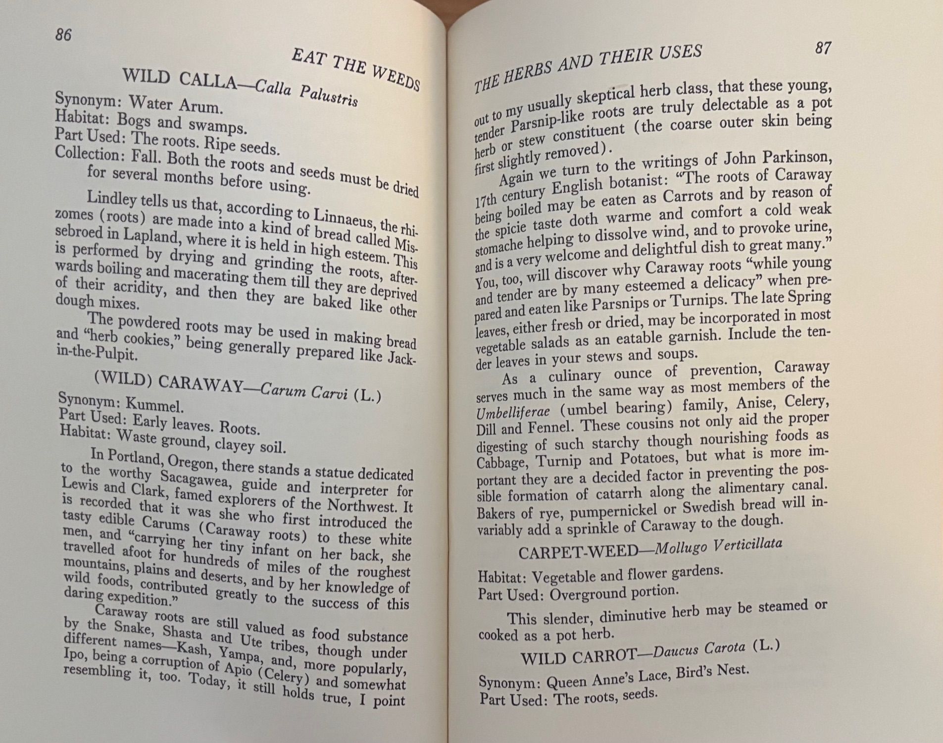 (*NEW ARRIVAL*) (Foraging) Ben Charles Harris. Eat the Weeds
