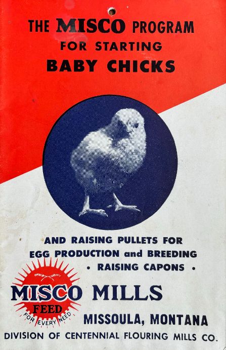 (Montana) The Misco Program for Starting Baby Chicks and Raising Pullets for Egg Production