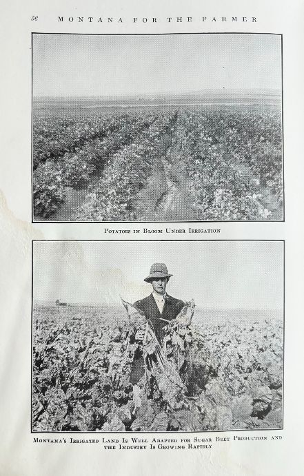 (Montana) Montana for the Farmer