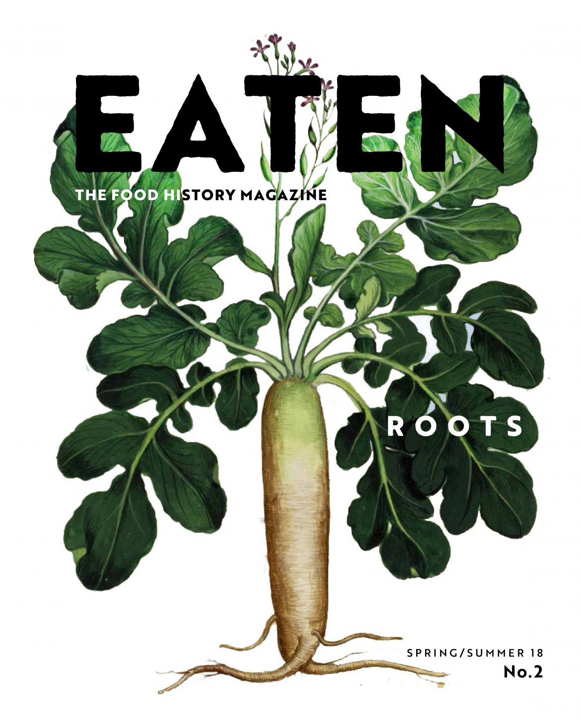 EATEN Nº 2: Roots