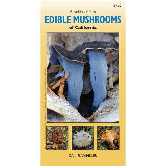 A Field Guide to Edible Mushrooms of California (Folding Pocket Guide) (Daniel Winkler)