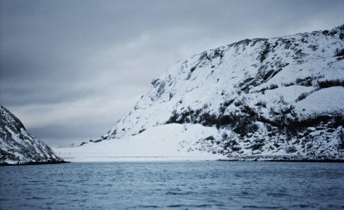 Noma: Time and Place in Nordic Cuisine (René Redzepi)