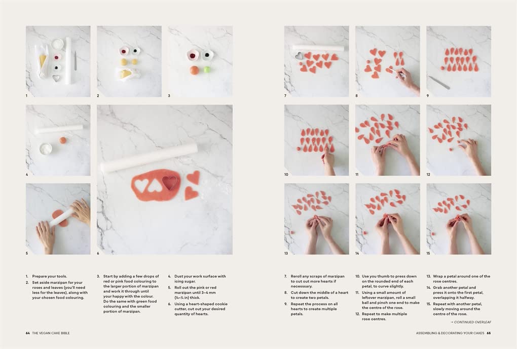The Vegan Cake Bible: Bake, Build and Decorate Spectacular Vegan Cakes (Sara Kidd)