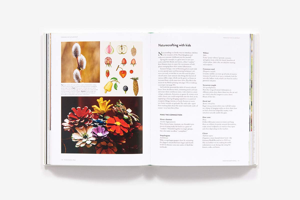 The Botanical Bible: Plants, Flowers, Art, Recipes & Other Home Uses (Sonya Patel Ellis)