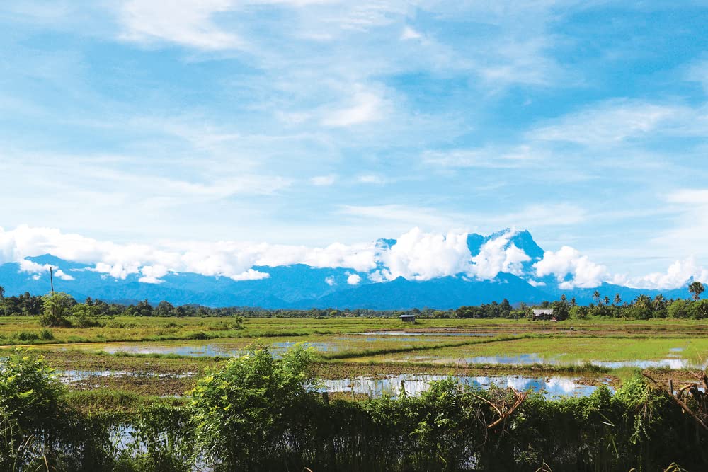 (Borneo) Tamu: A Guest at the Bornean Table (Bryan Koh)