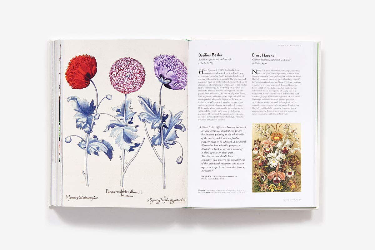 The Botanical Bible: Plants, Flowers, Art, Recipes & Other Home Uses (Sonya Patel Ellis)