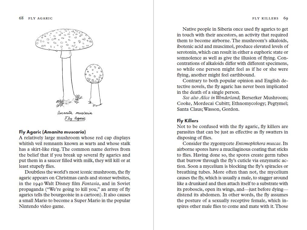 Fungipedia: A Brief Compendium of Mushroom Lore (Lawrence Millman)