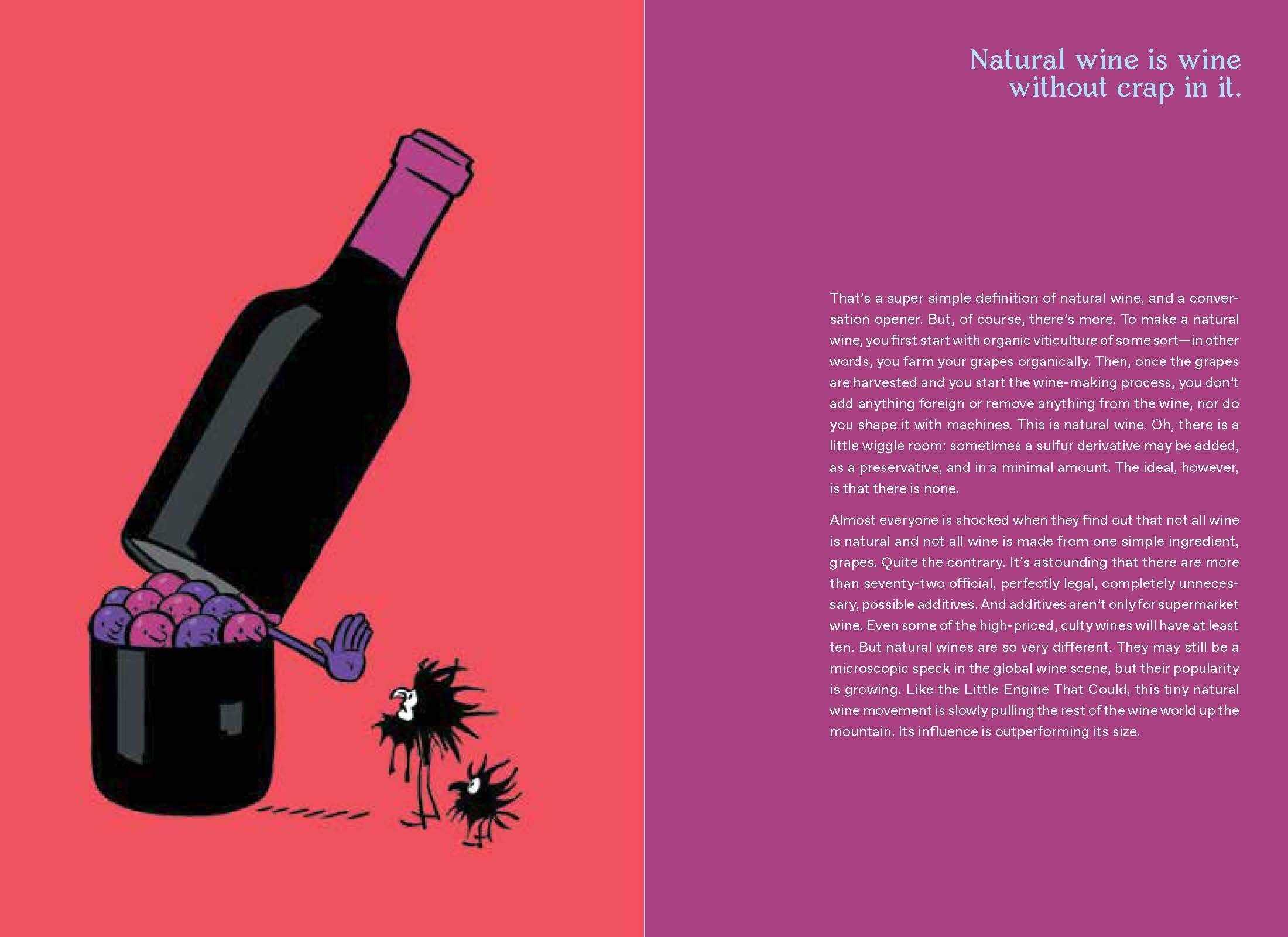 Natural Wine for the People (Alice Feiring)