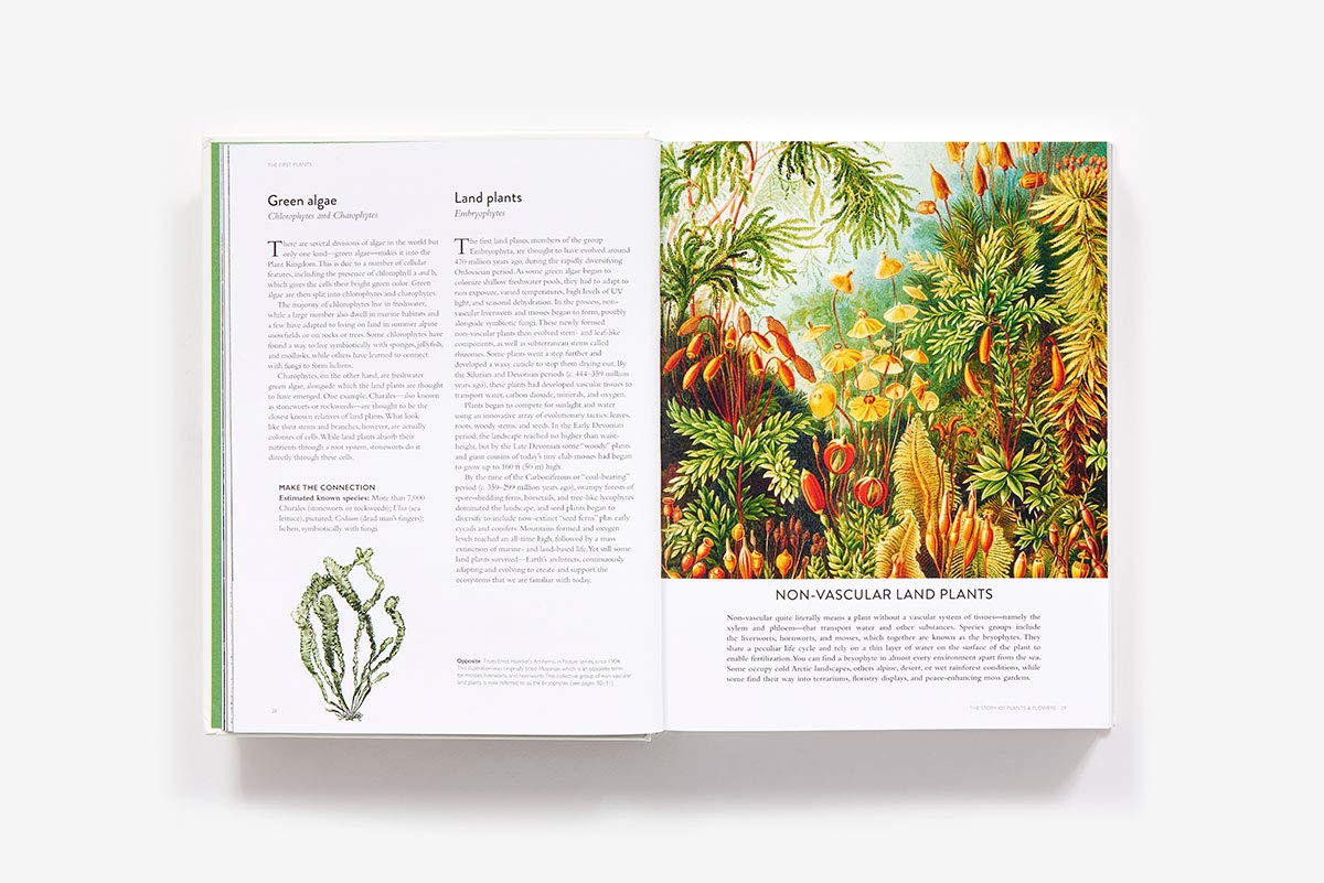 The Botanical Bible: Plants, Flowers, Art, Recipes & Other Home Uses (Sonya Patel Ellis)