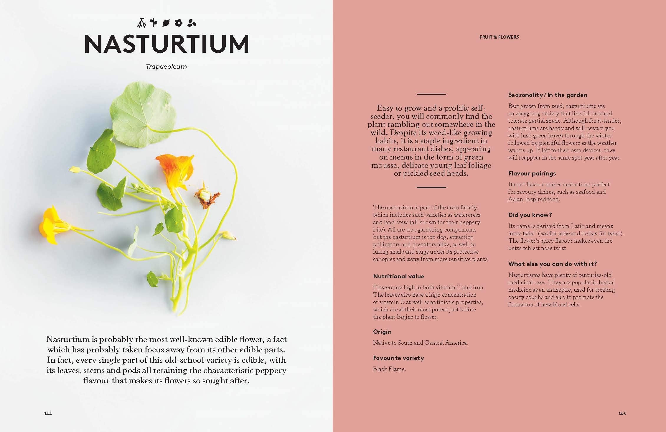 Root to Bloom: A Modern Guide To Whole Plant Use (Mat Pember, Jocelyn Cross)