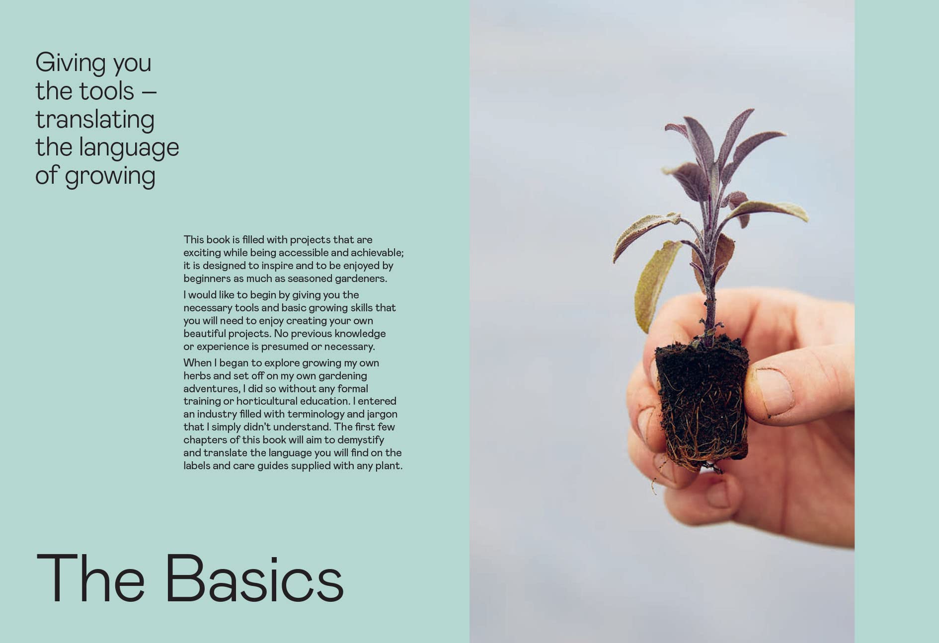 The Herb Gardening Handbook: A Beginners' Guide to Growing and Harvesting Herbs No Matter Your Space (Andrew Perry)