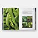 Unelaborated Products: Definition and Classification (Ferran Adrià, elBullifoundation) *Signed*
