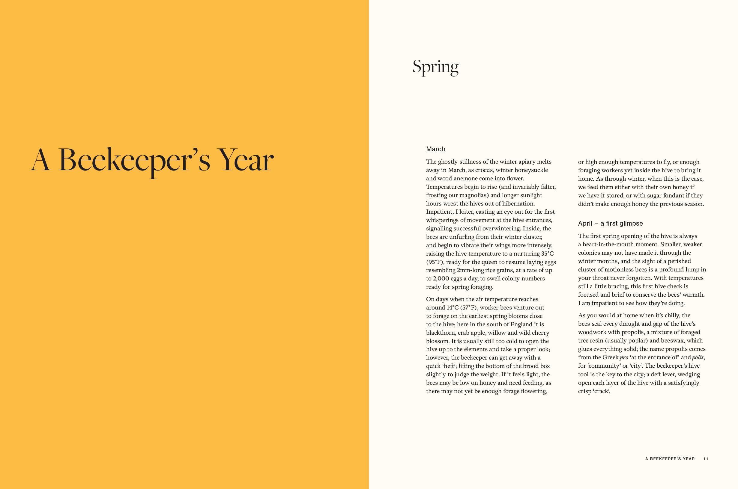 Honey: Recipes From a Beekeeper's Kitchen (Amy Newsome)