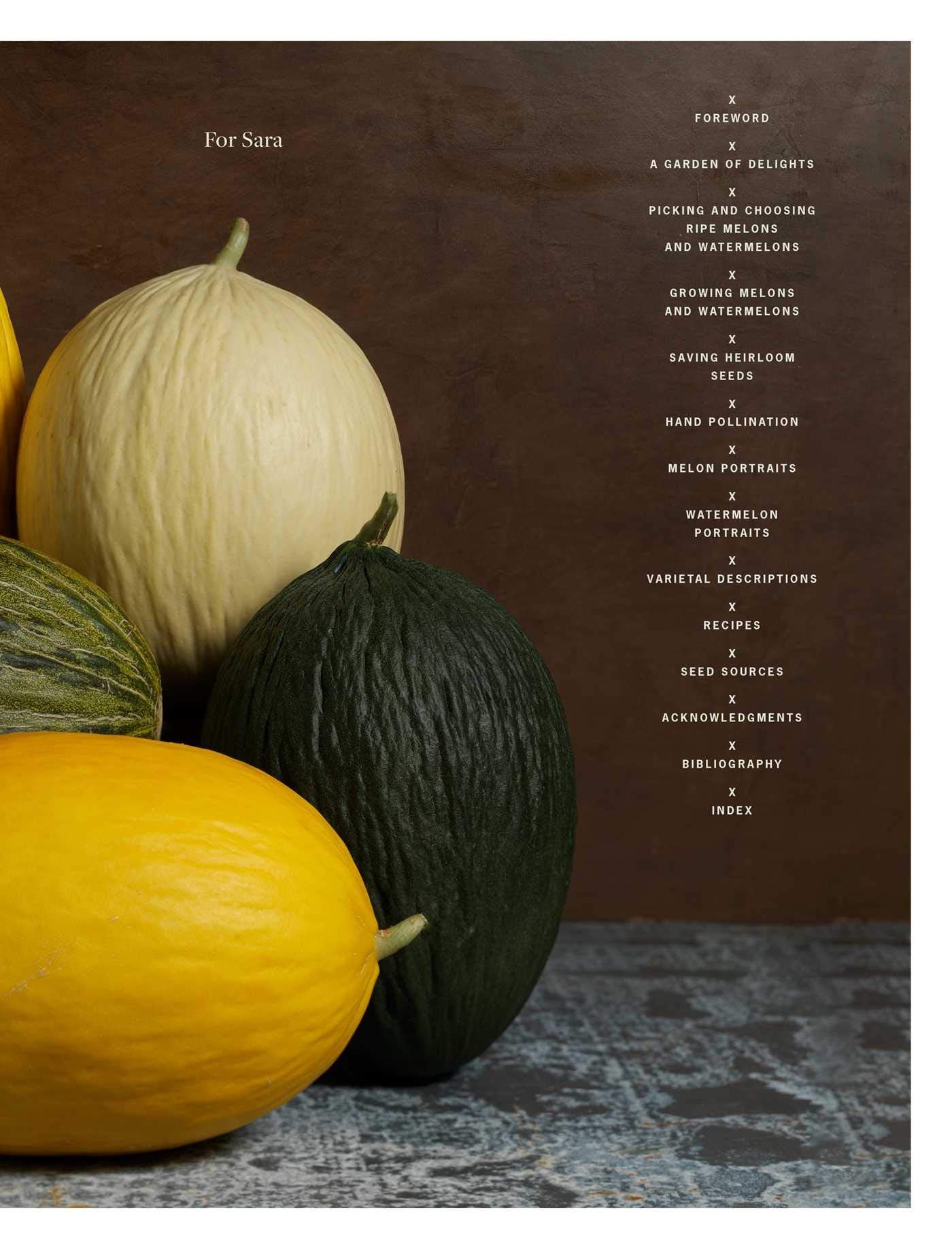 The Melon (Amy Goldman)