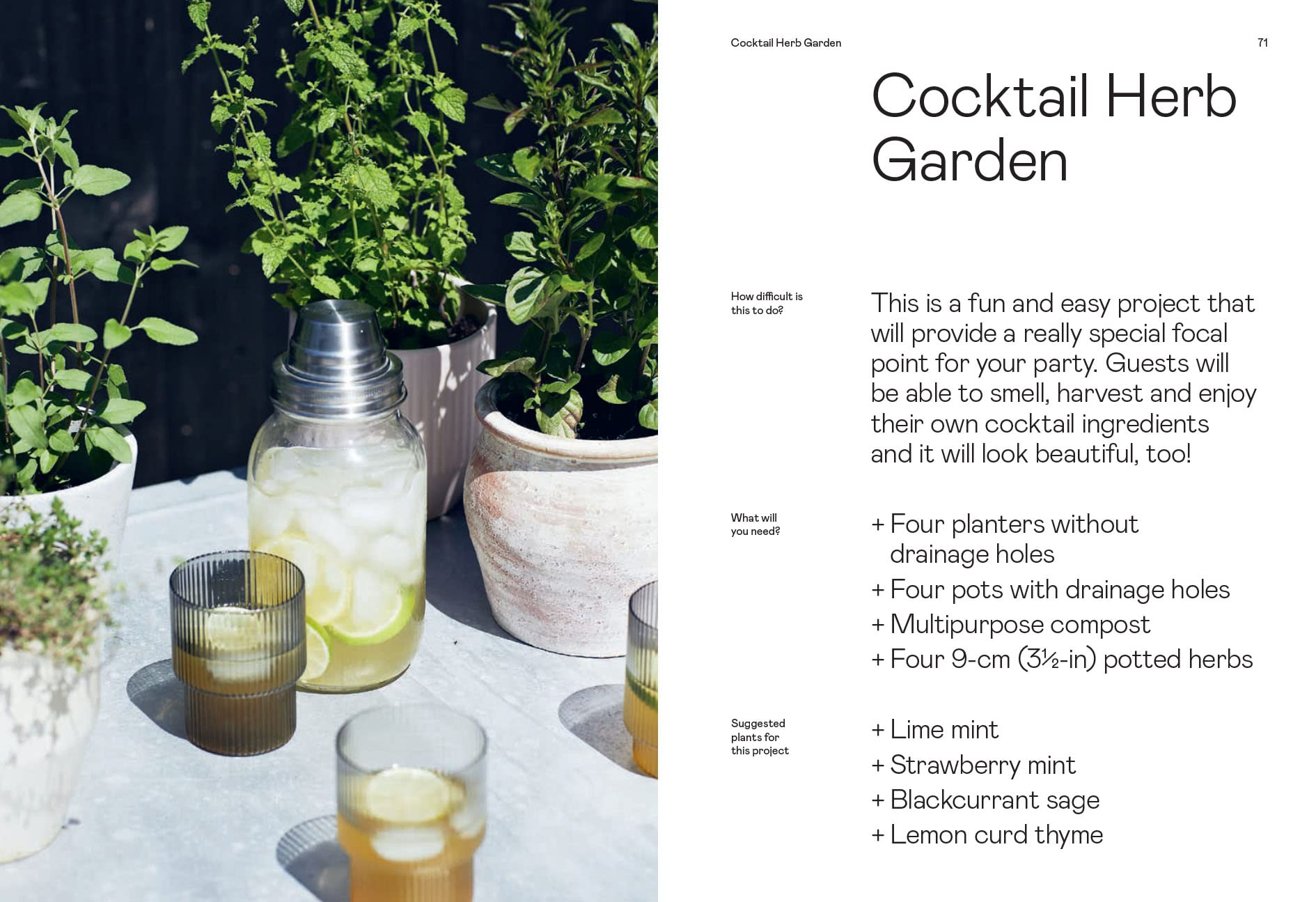 The Herb Gardening Handbook: A Beginners' Guide to Growing and Harvesting Herbs No Matter Your Space (Andrew Perry)