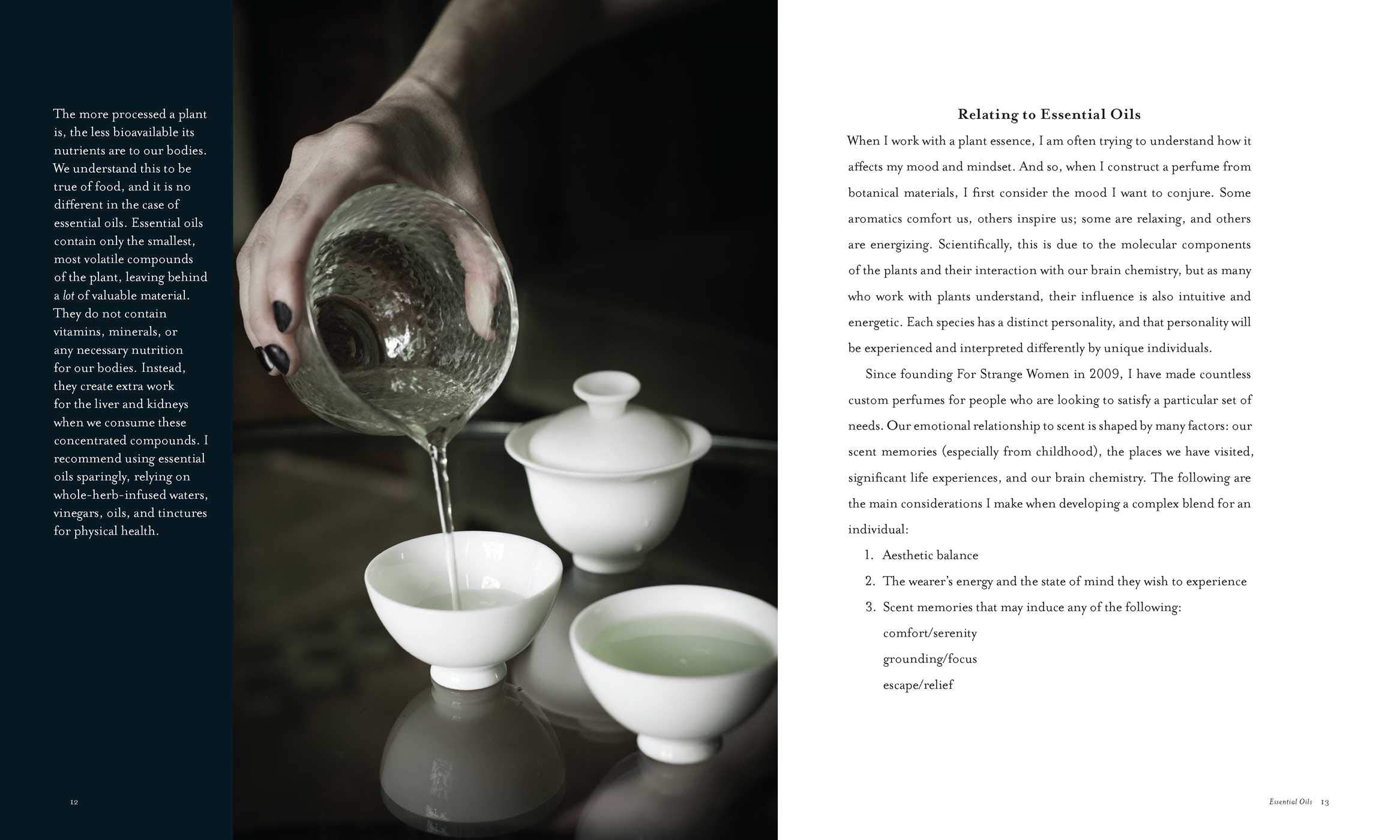 The Spirit of Botany: Aromatic Recipes and Rituals (Jill McKeever)