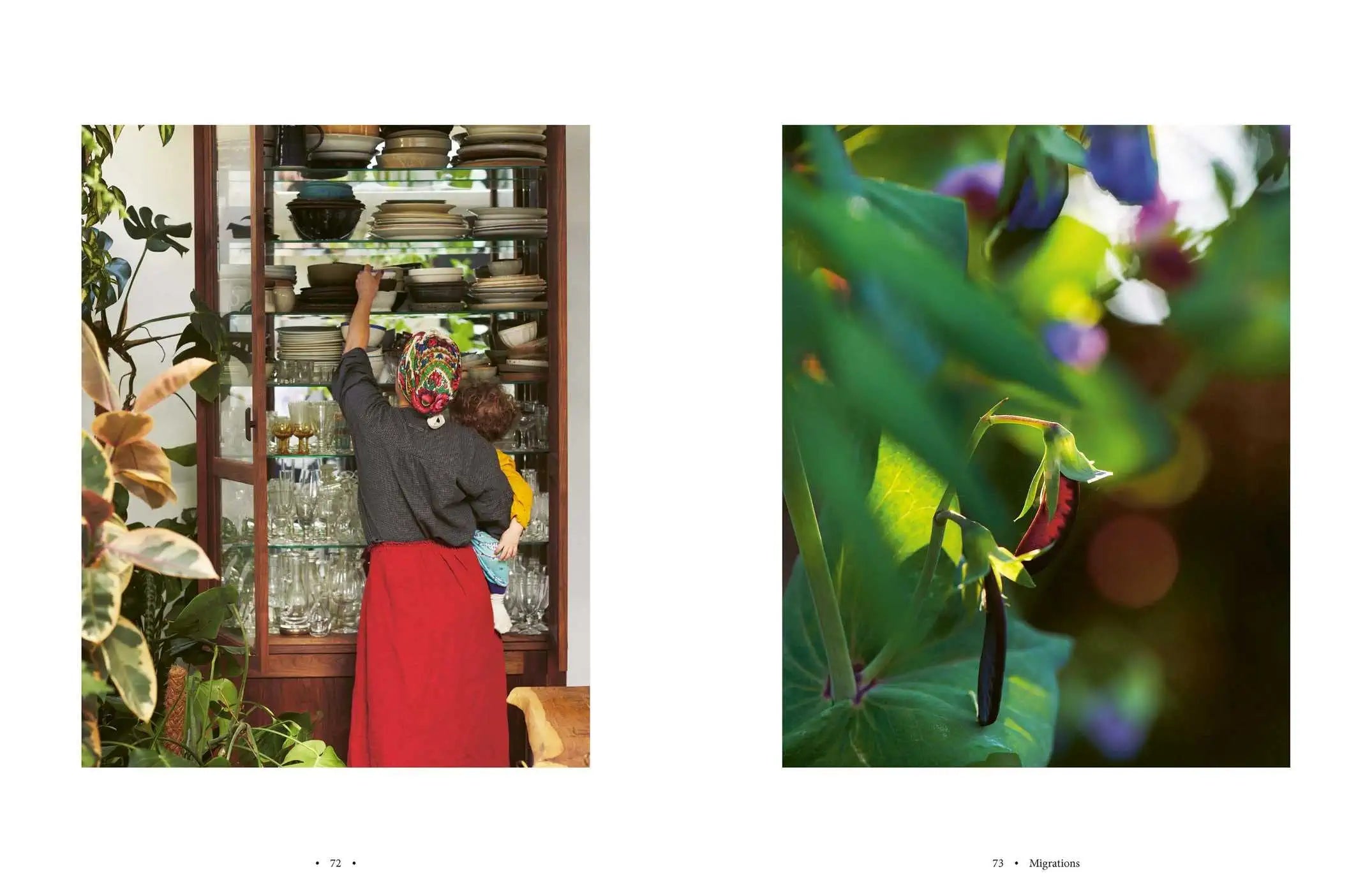 Home Food: Recipes to Comfort and Connect, U.S. Edition (Olia Hercules)