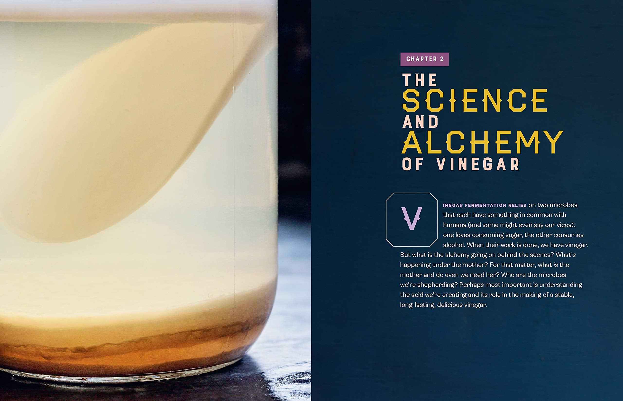 Homebrewed Vinegar: How to Ferment 60 Delicious Varieties, Including Carrot-Ginger, Beet, Brown Banana, Pineapple, Corncob, Honey, and Apple Cider Vinegar (Kirsten Shockey)