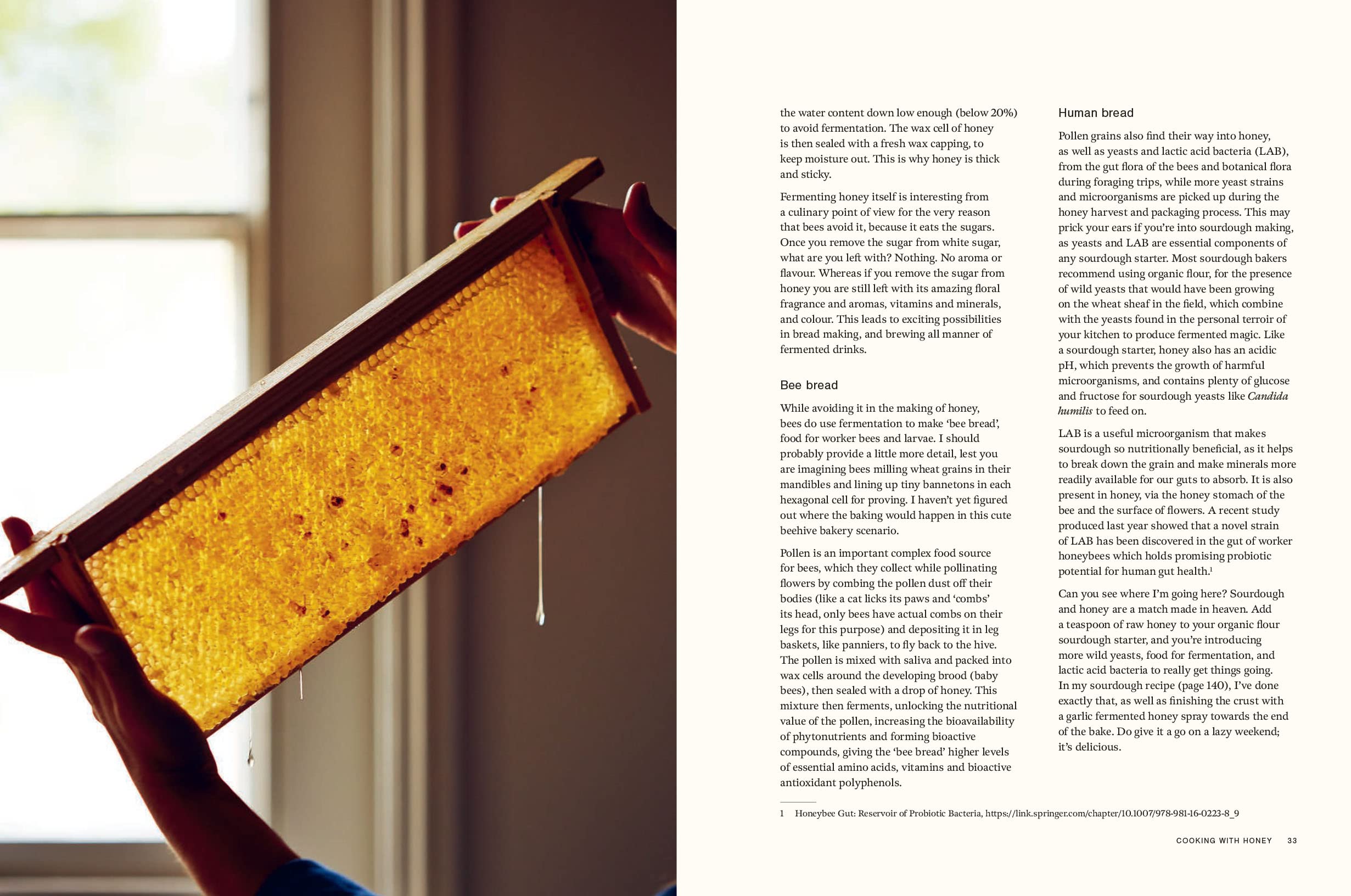 Honey: Recipes From a Beekeeper's Kitchen (Amy Newsome)