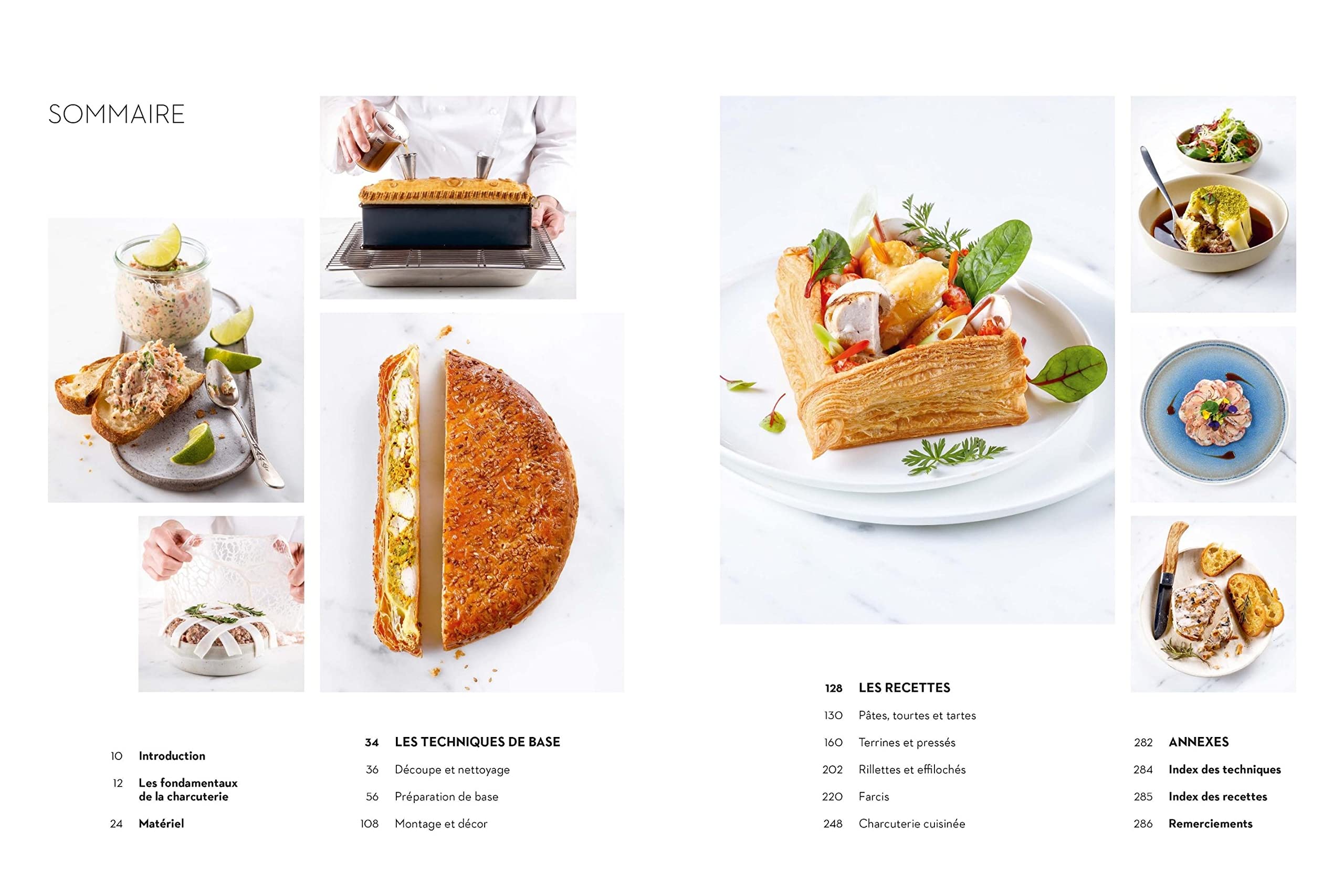 Terrines: Pâtés en Croûte, Rillettes, Charcuteries...: Recettes et Techniques d'une Ecole d'Excellence (Ferrandi Paris)