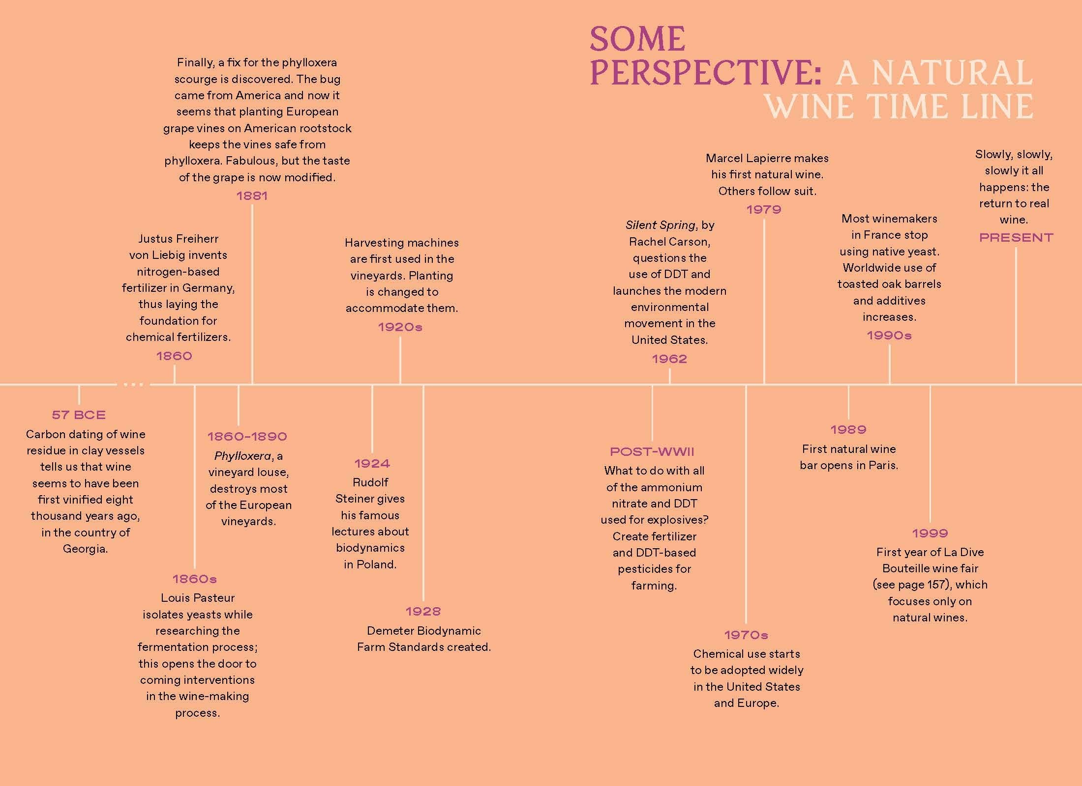 Natural Wine for the People (Alice Feiring)