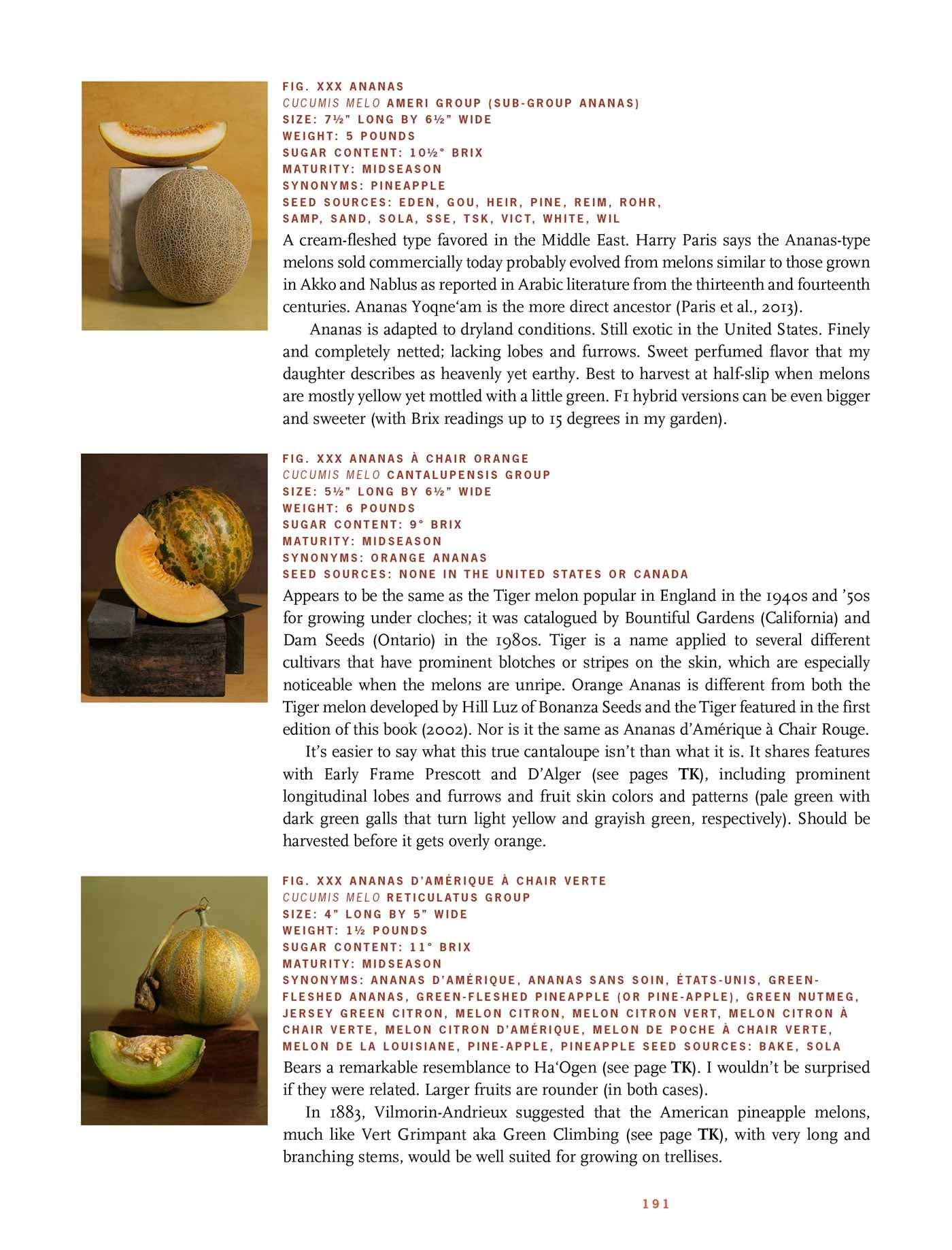 The Melon (Amy Goldman)