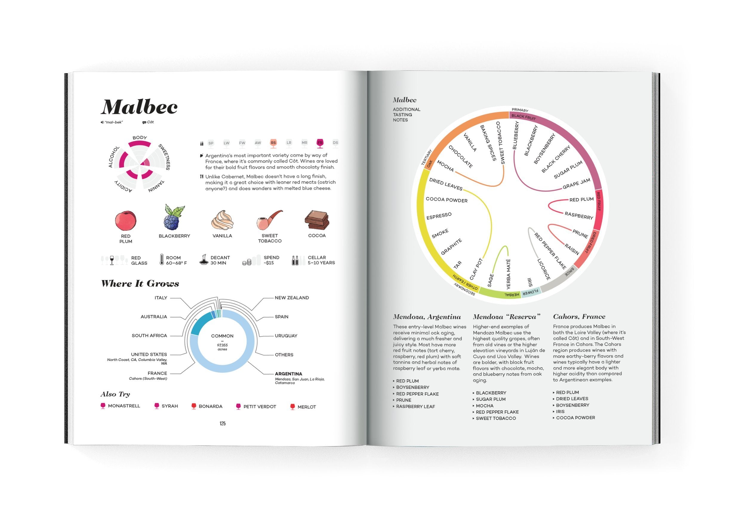 Wine Folly: Magnum Edition: The Master Guide (Madeline Puckette, Justin Hammack)