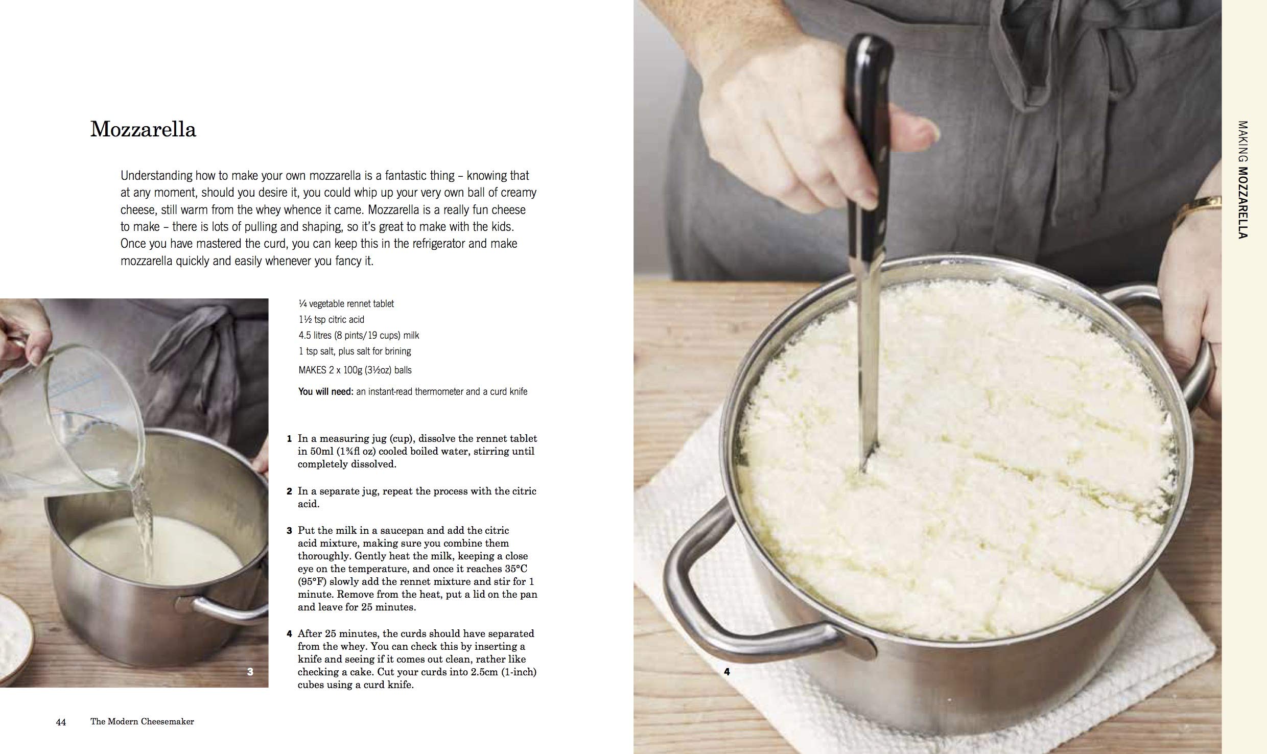 The Modern Cheesemaker: Making and Cooking with Cheeses at Home (Morgan McGlynn)