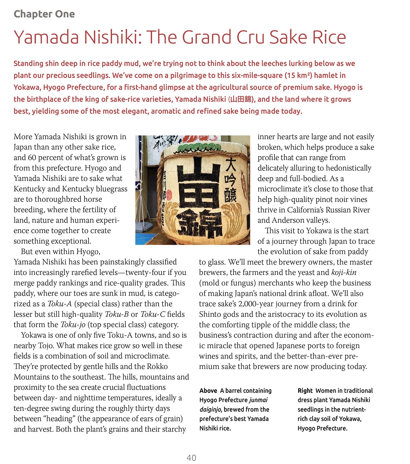 Exploring the World of Japanese Craft Sake: Rice, Water, Earth (Nancy Matsumoto, Michael Tremblay)