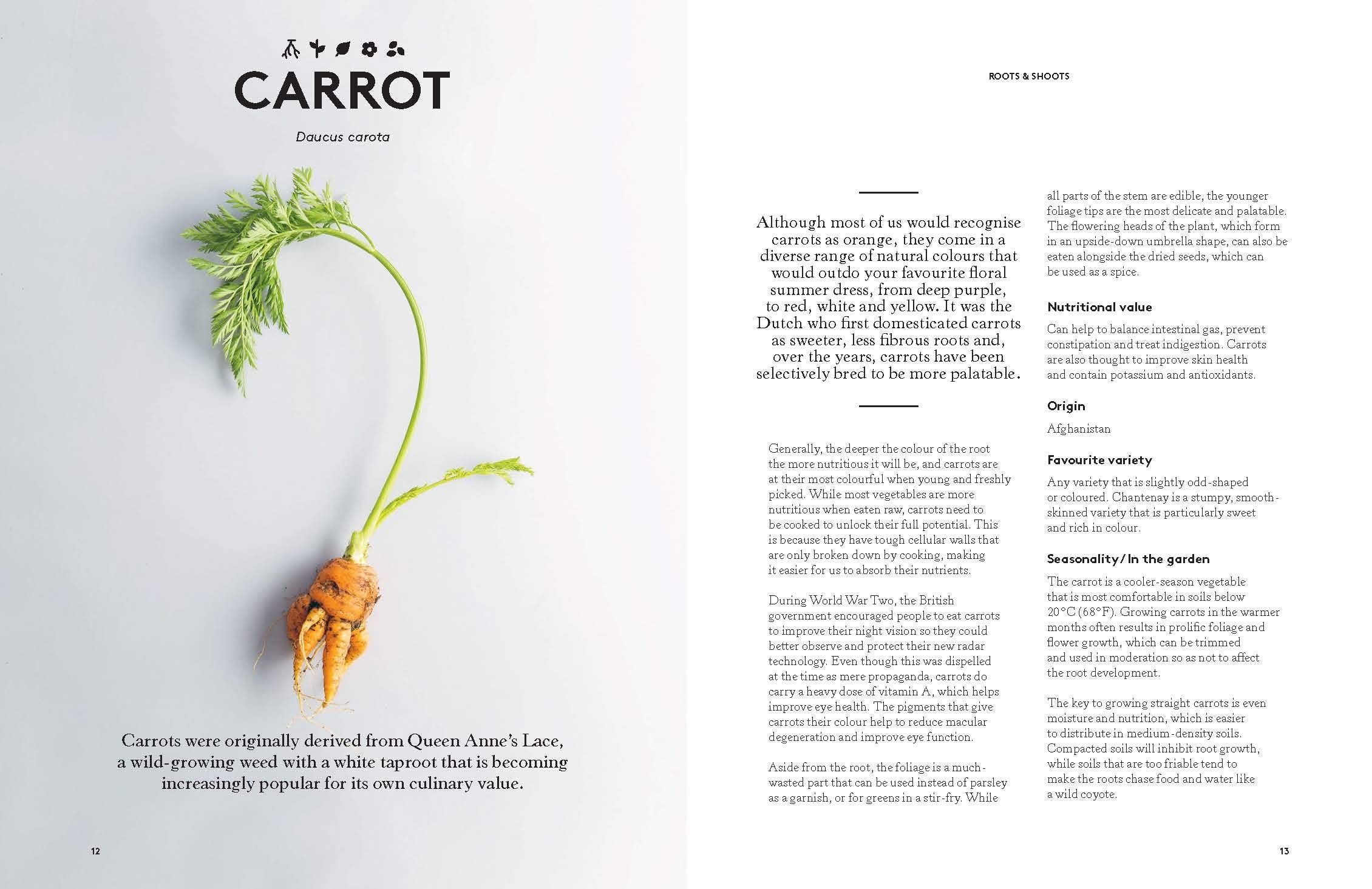 Root to Bloom: A Modern Guide To Whole Plant Use (Mat Pember, Jocelyn Cross)