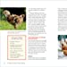 Let's All Keep Chickens!: The Down-to-Earth Guide to Natural Practices for Healthier Birds and a Happier World (Dalia Monterroso)