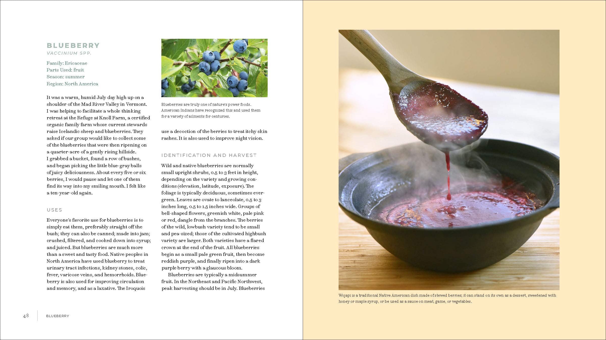 Iwígara: American Indian Ethnobotanical Traditions and Science (Enrique Salmón)