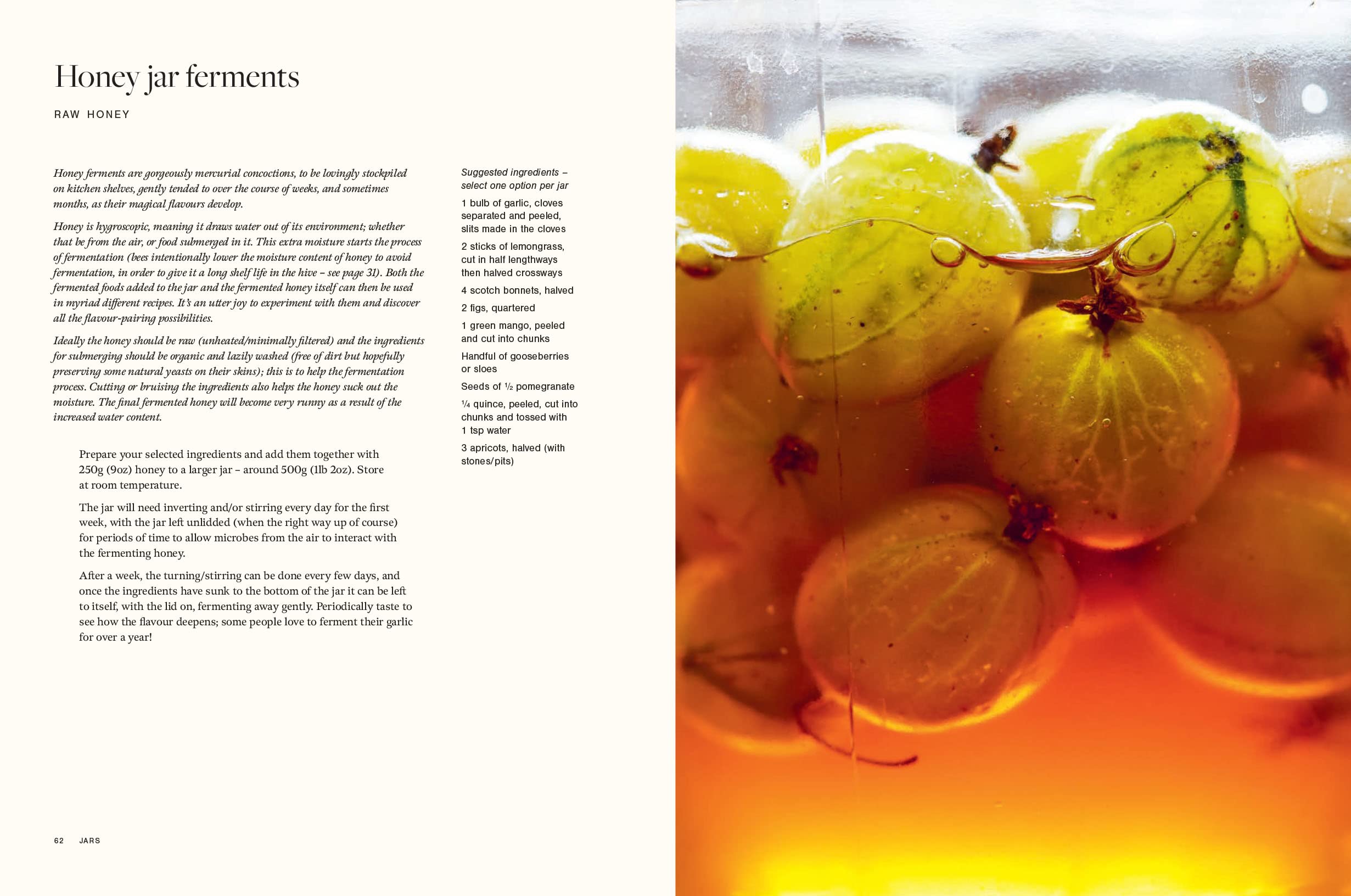 Honey: Recipes From a Beekeeper's Kitchen (Amy Newsome)