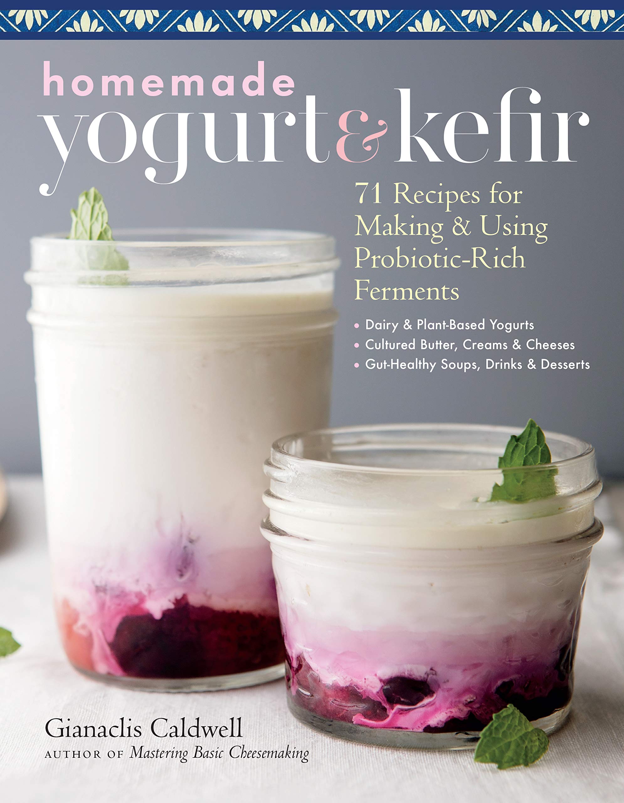 Homemade Yogurt & Kefir: 71 Recipes for Making & Using Probiotic-Rich Ferments (Gianaclis Caldwell)