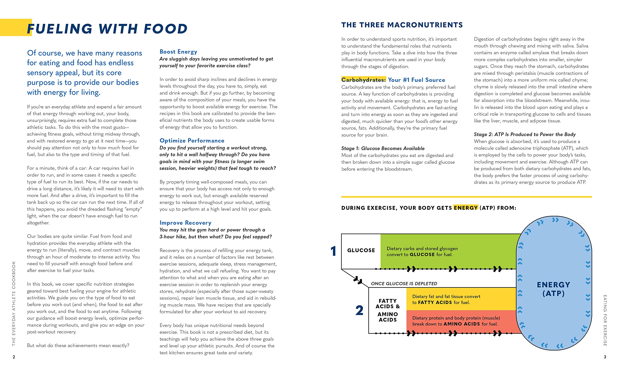 ATK - The Everyday Athlete Cookbook: 165 Recipes to Boost Energy, Performance, and Recovery (America's Test Kitchen)