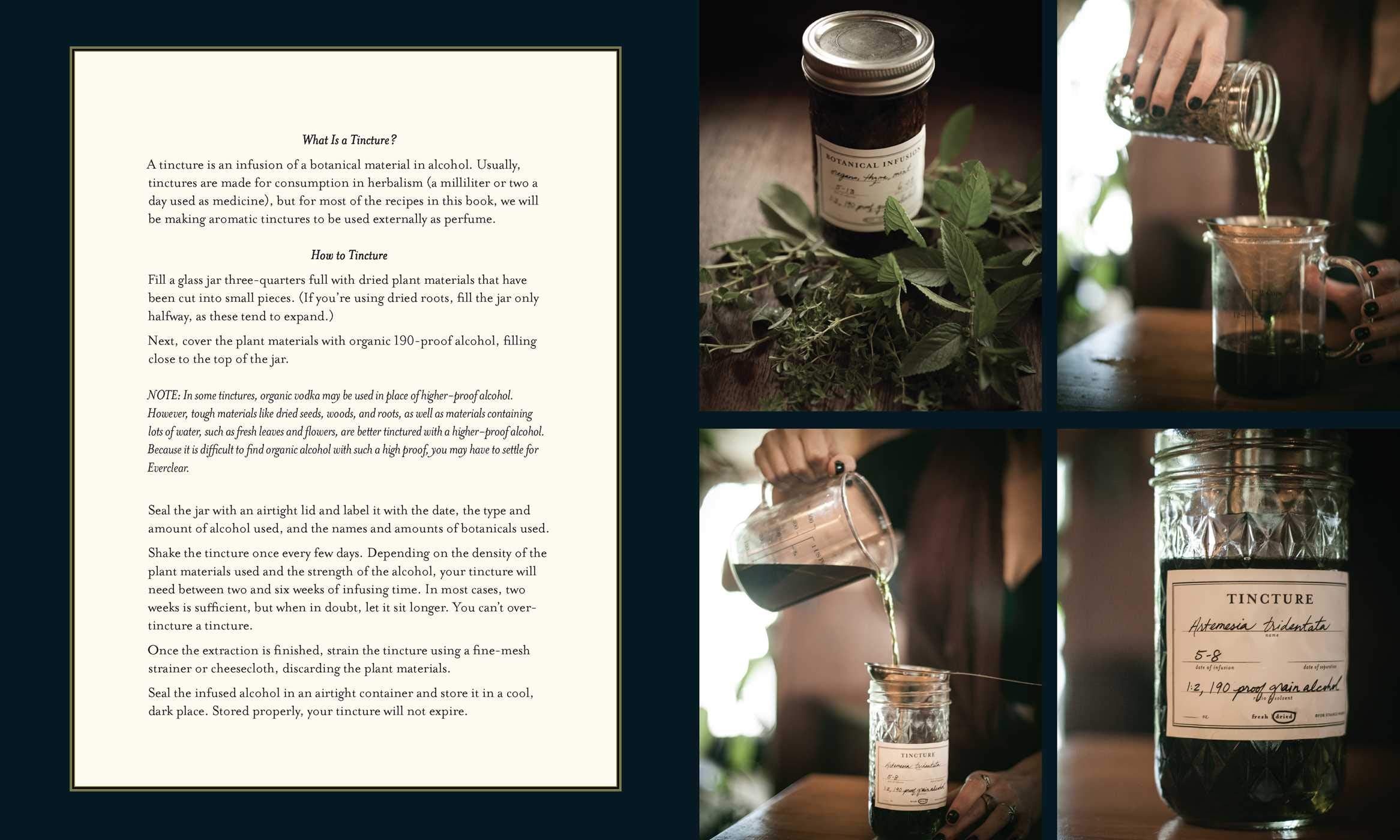 The Spirit of Botany: Aromatic Recipes and Rituals (Jill McKeever)