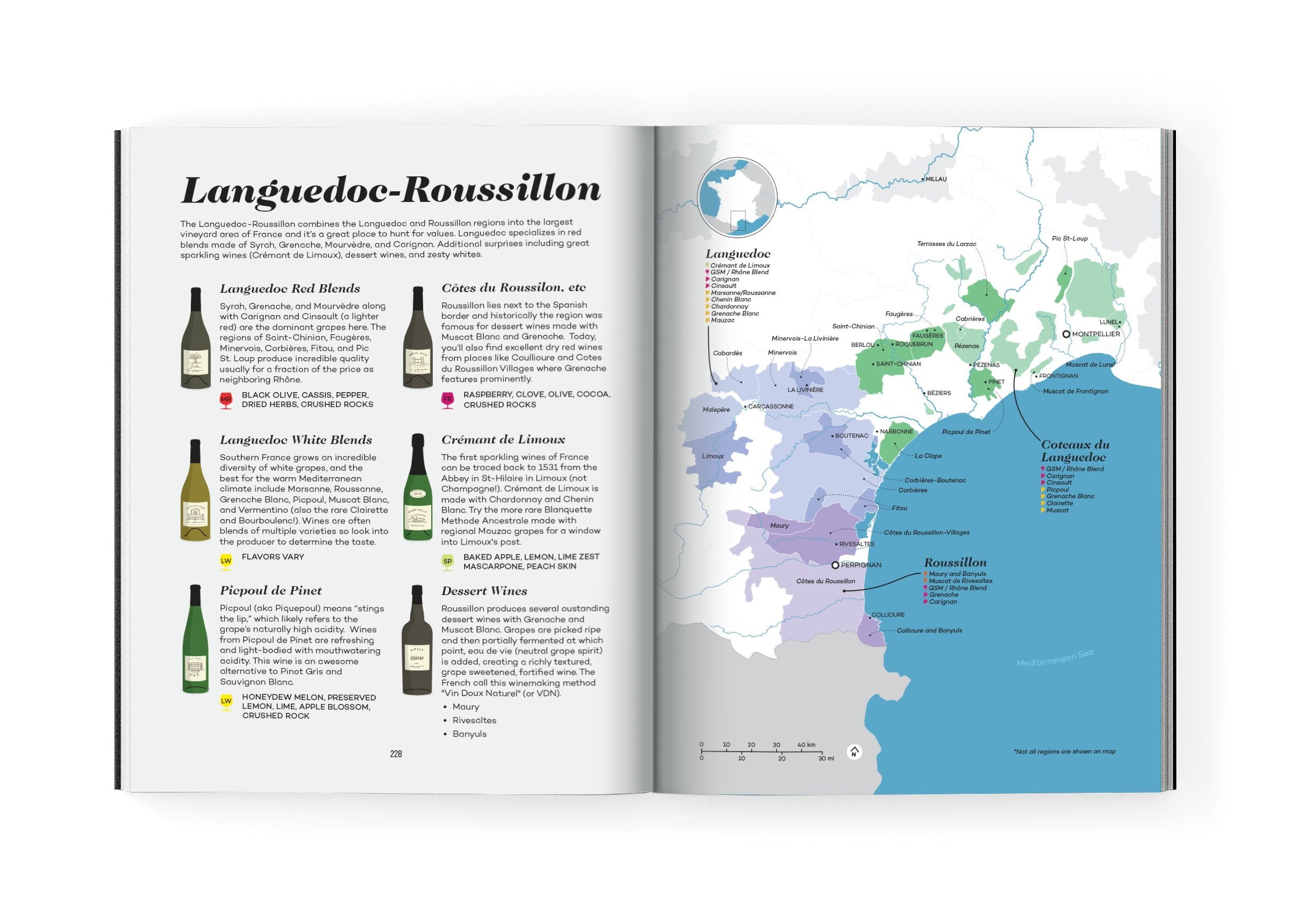 Wine Folly: Magnum Edition: The Master Guide (Madeline Puckette, Justin Hammack)