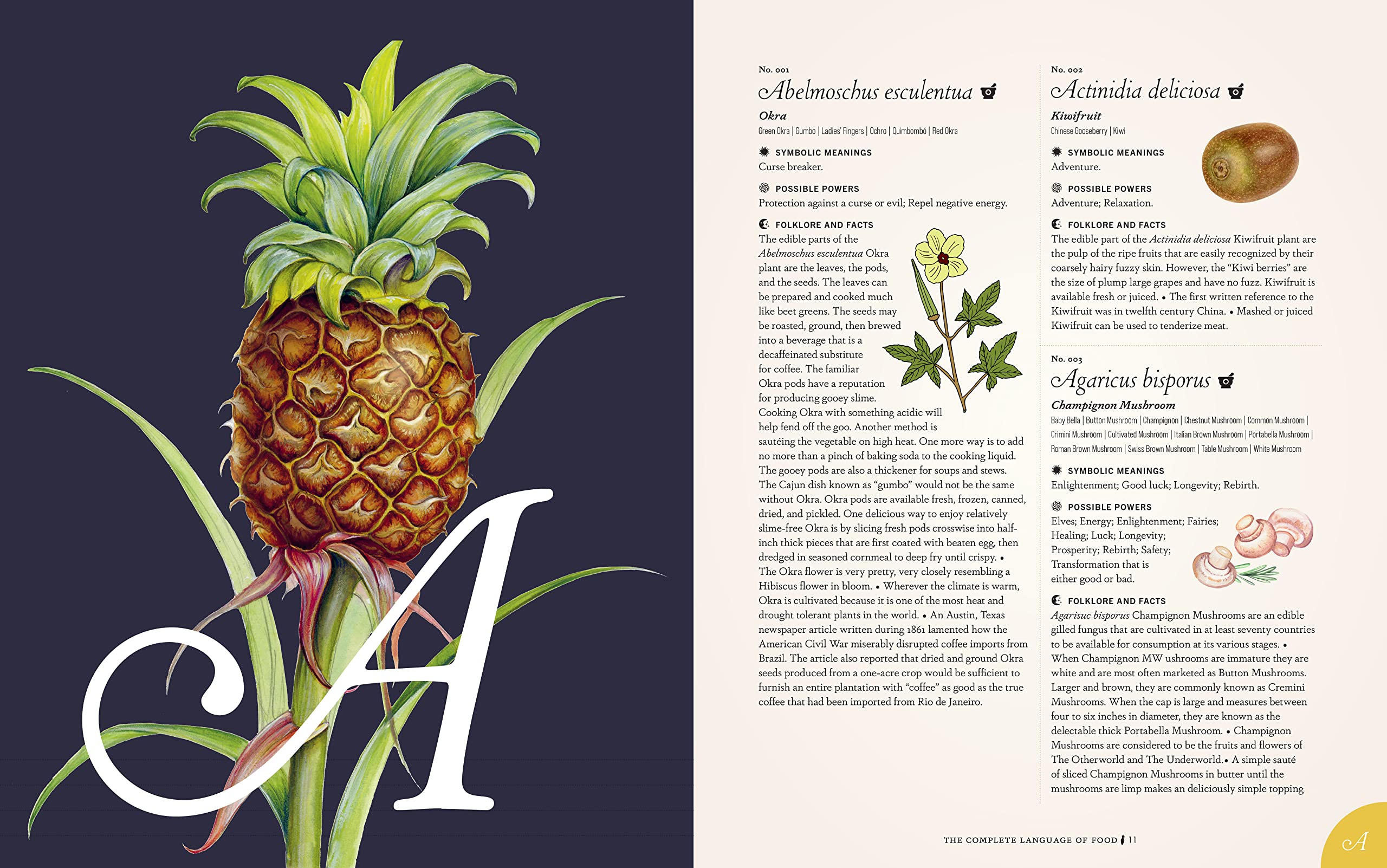 The Complete Language of Food: A Definitive & Illustrated History (S. Theresa Dietz)