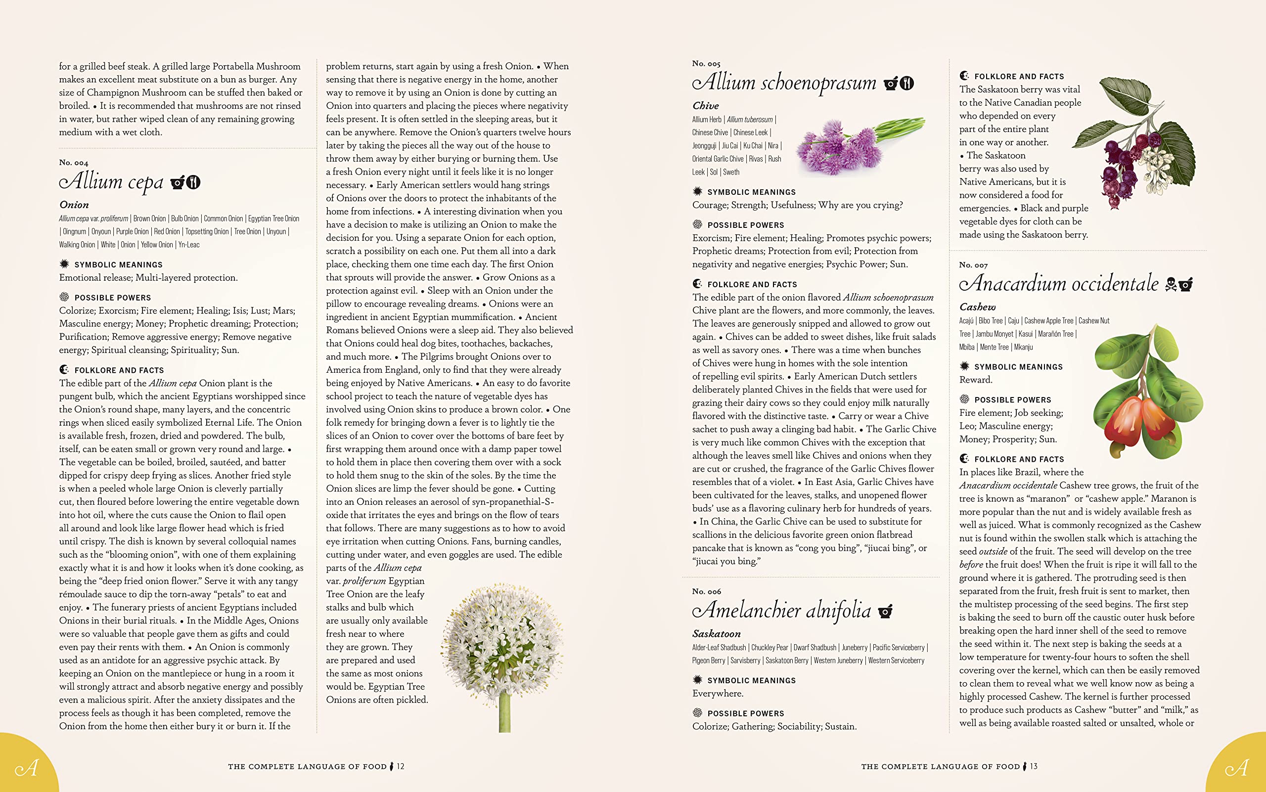 The Complete Language of Food: A Definitive & Illustrated History (S. Theresa Dietz)