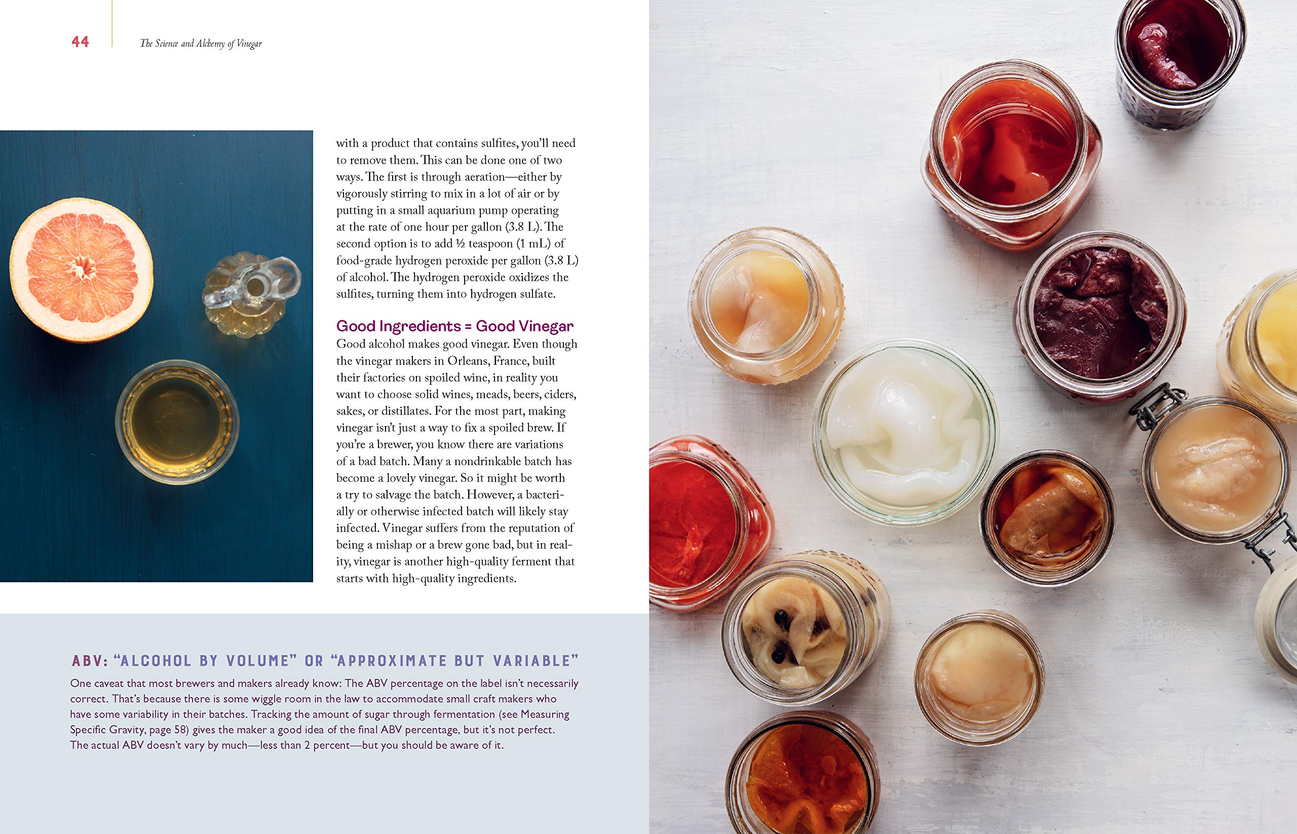 Homebrewed Vinegar: How to Ferment 60 Delicious Varieties, Including Carrot-Ginger, Beet, Brown Banana, Pineapple, Corncob, Honey, and Apple Cider Vinegar (Kirsten Shockey)