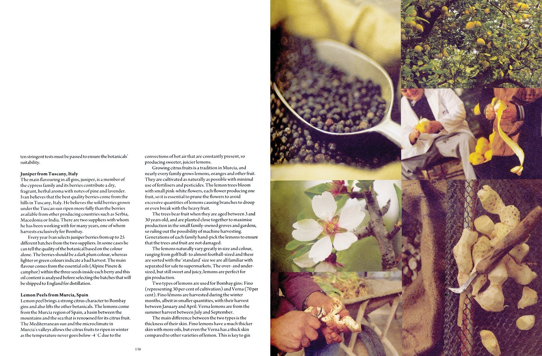 *Sale* Diffordsguide Gin: The Bartender's Bible (Simon Difford)