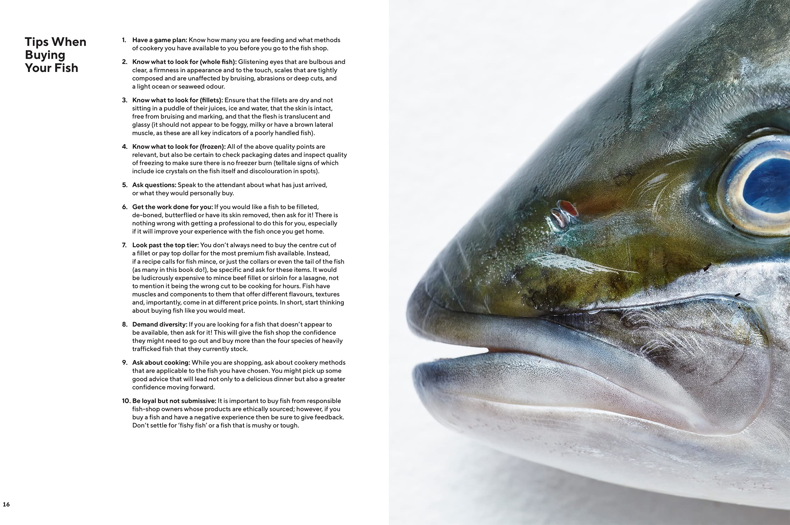Take One Fish: The New School of Scale-to-Tail Cooking and Eating (Josh Niland)