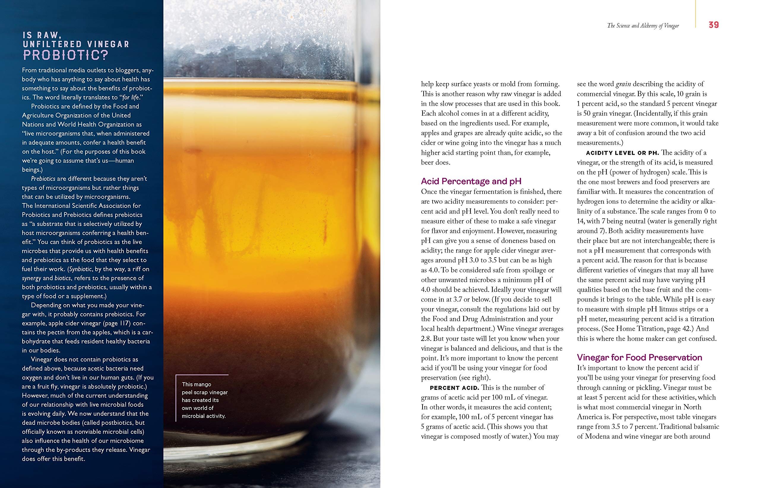 Homebrewed Vinegar: How to Ferment 60 Delicious Varieties, Including Carrot-Ginger, Beet, Brown Banana, Pineapple, Corncob, Honey, and Apple Cider Vinegar (Kirsten Shockey)