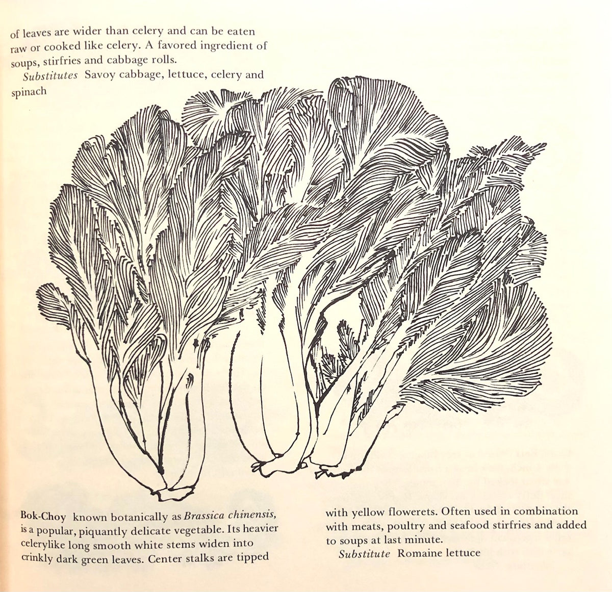 Chinese) Charles &amp; Violet Schafer. Wokcraft. | Omnivore Books on Food