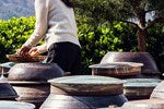 Taste Korea: Korean Recipes With Local Ingredients (Ae Jin Huys)
