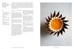 Ballymaloe Desserts, Iconic Recipes and Stories from Ireland (JR Ryall)