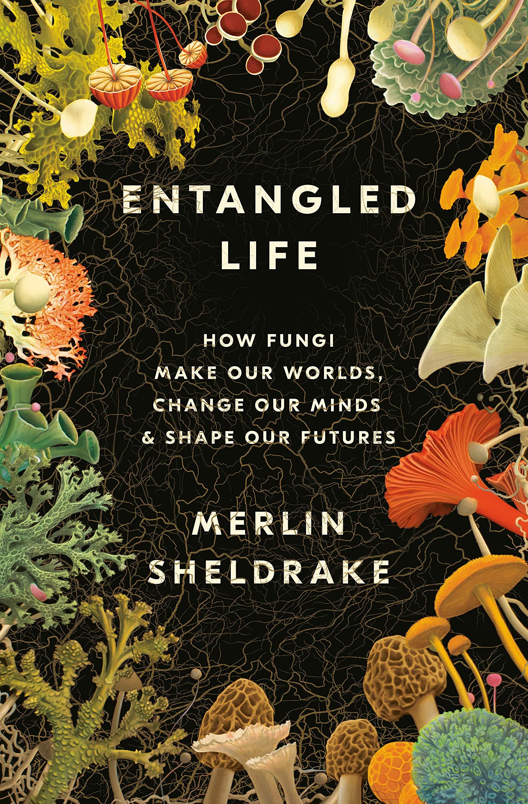 Entangled Life: How Fungi Make Our Worlds, Change Our Minds & Shape Our Futures (Merlin Sheldrake)