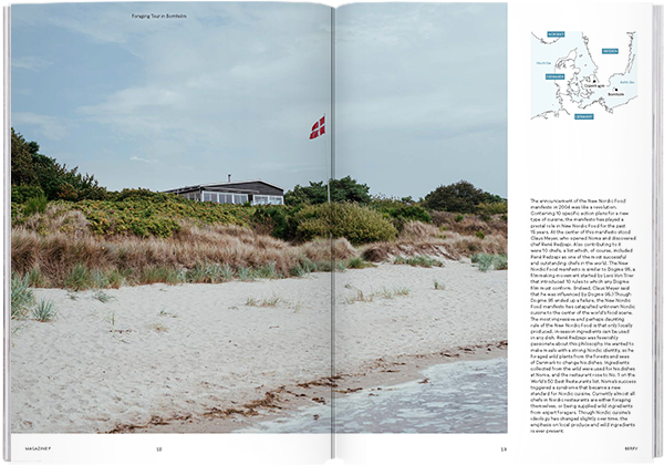 Magazine F Nº 10: Berry
