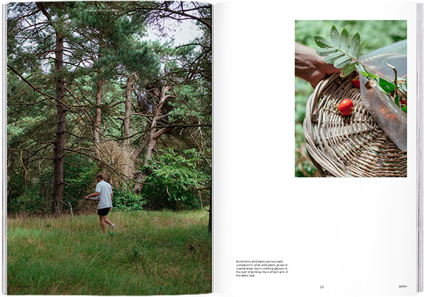 Magazine F Nº 10: Berry